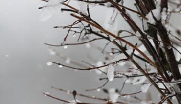 Какой будет погода в последний день 2024 года